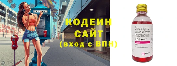 шишки Осинники