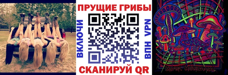 Купить закладки  Крымск  Псилоцибиновые грибы Psilocybe 